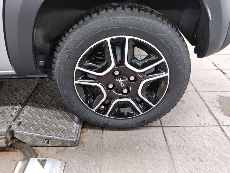 Dacia Spring Extreme 65 — 11