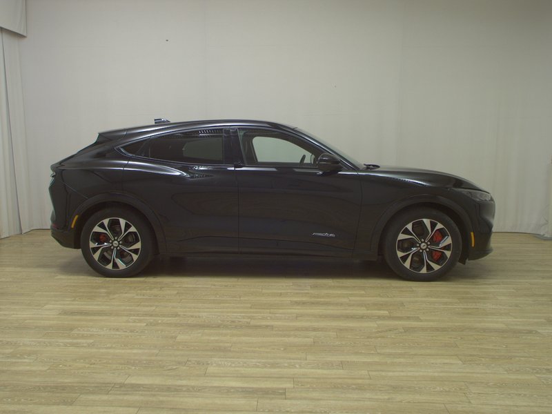 Ford Mustang Mach-E AWD • 4x4 • panorama