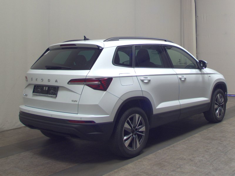Škoda Karoq 2.0 TDI automatik 4x4 Tour • LED • digitalni instrumenti — 4