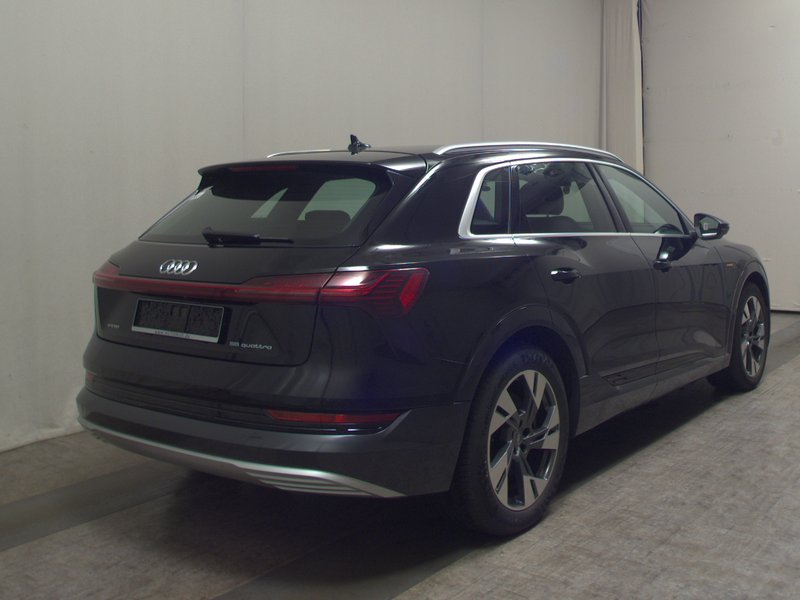 Audi e-tron 55 quattro S line • panorama • 360° kamera — 4