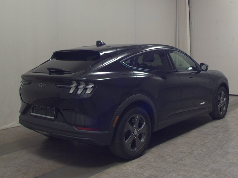 Ford Mustang Mach-E • AHK • panorama — 4