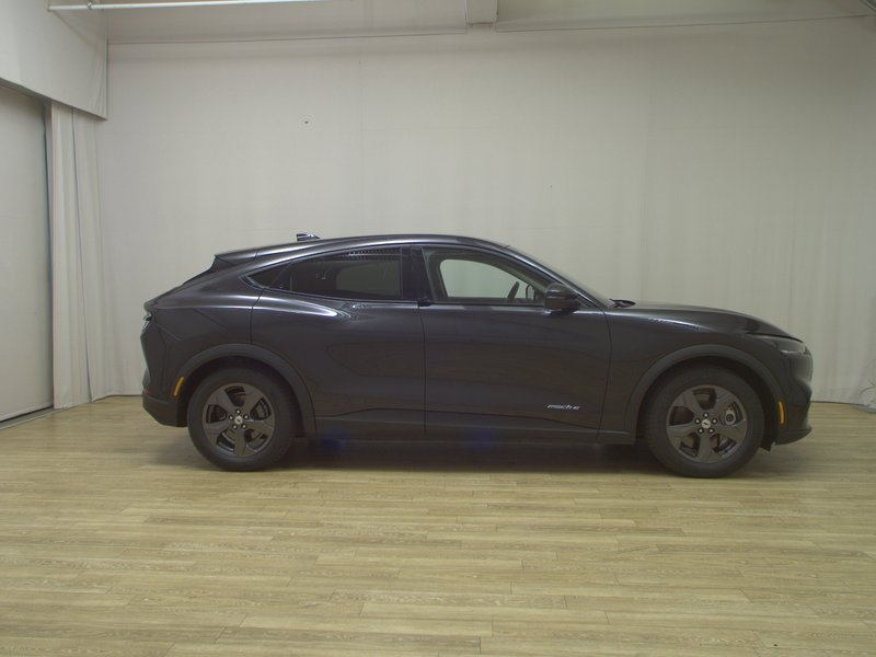 Ford Mustang Mach-E • panorama • 360° kamera