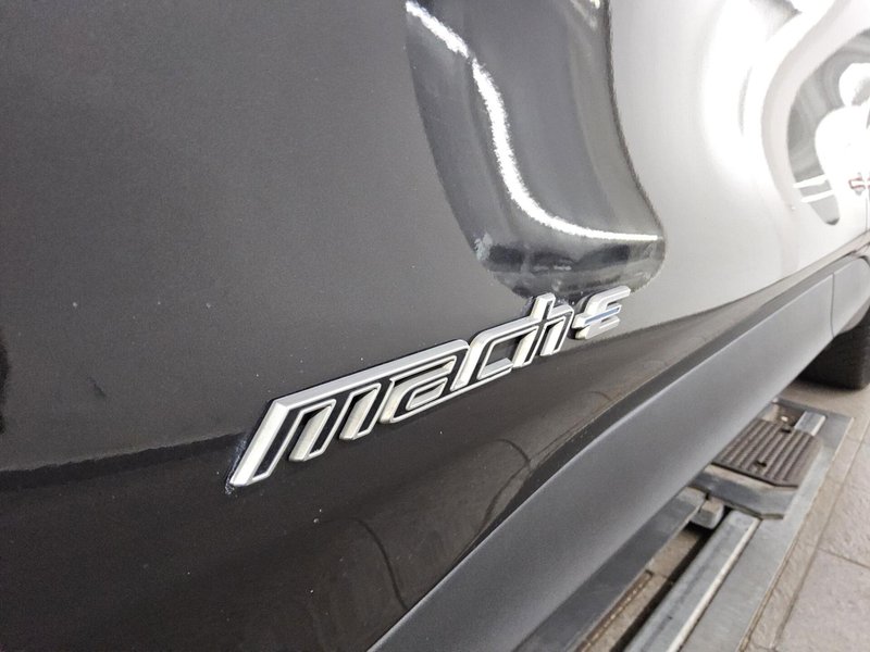 Ford Mustang Mach-E • panorama • 360° kamera — 12