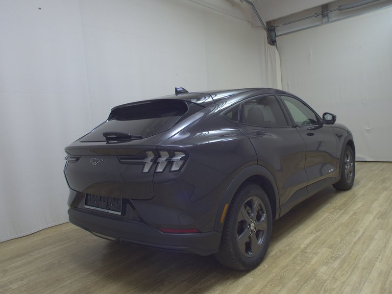 Ford Mustang Mach-E • panorama • 360° kamera — 4