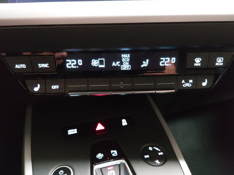 Audi Q4 e-tron Sportback 45 • ACC • LED — 15