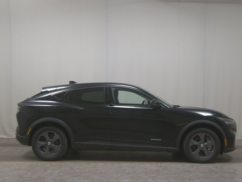 Ford Mustang Mach-E • panorama • 360° kamera