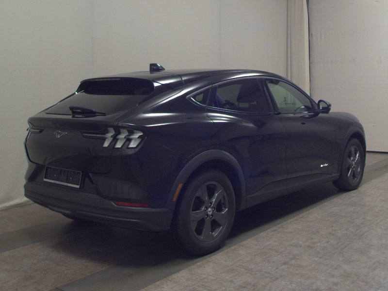 Ford Mustang Mach-E • panorama • 360° kamera — 4
