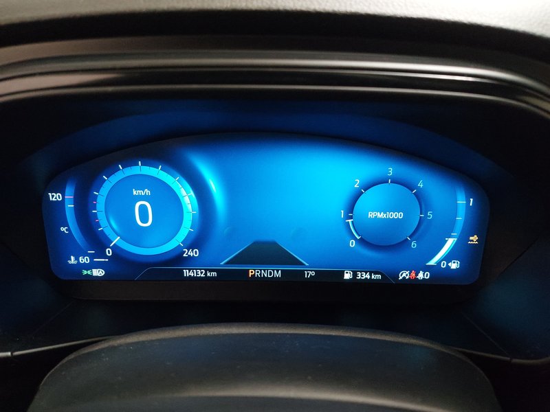 Ford Focus Turnier 1.5 EcoBlue ST-Line X automatik • panorama • LED — 23