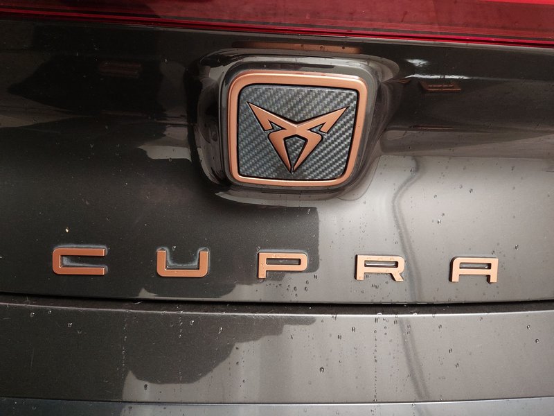 CUPRA Born • ACC • Full LED — 17