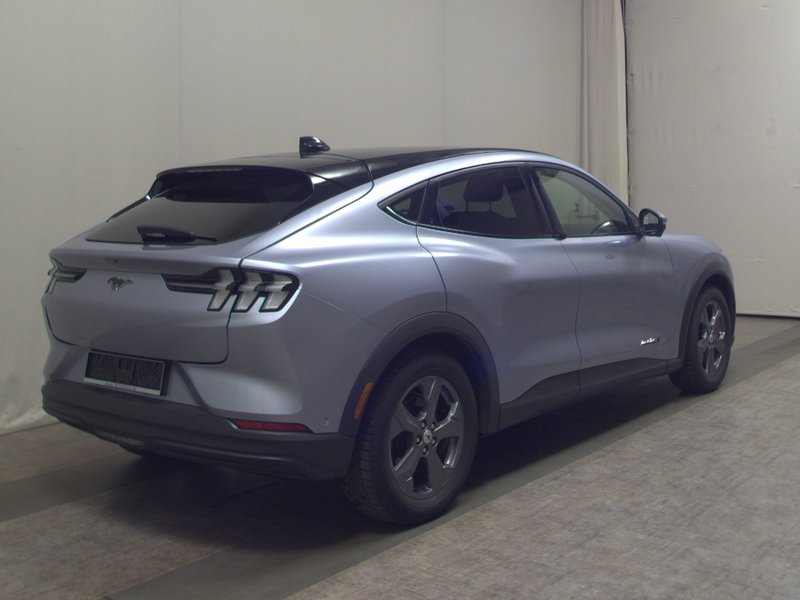 Ford Mustang Mach-E • električna peta vrata • panorama — 4