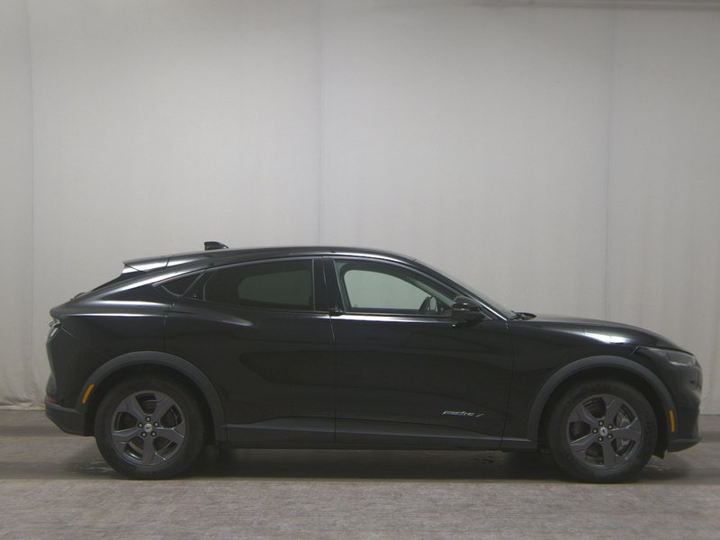 Ford Mustang Mach-E • 360° kamera • električna peta vrata