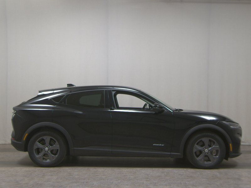 Ford Mustang Mach-E • ACC • bežično punjenje