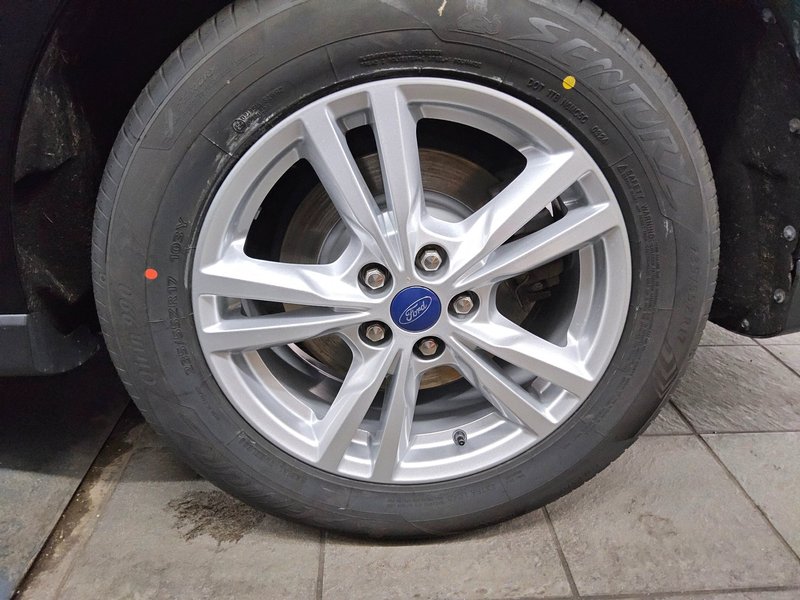 Ford Galaxy 2.0 EcoBlue automatik Titanium • panorama • LED — 10
